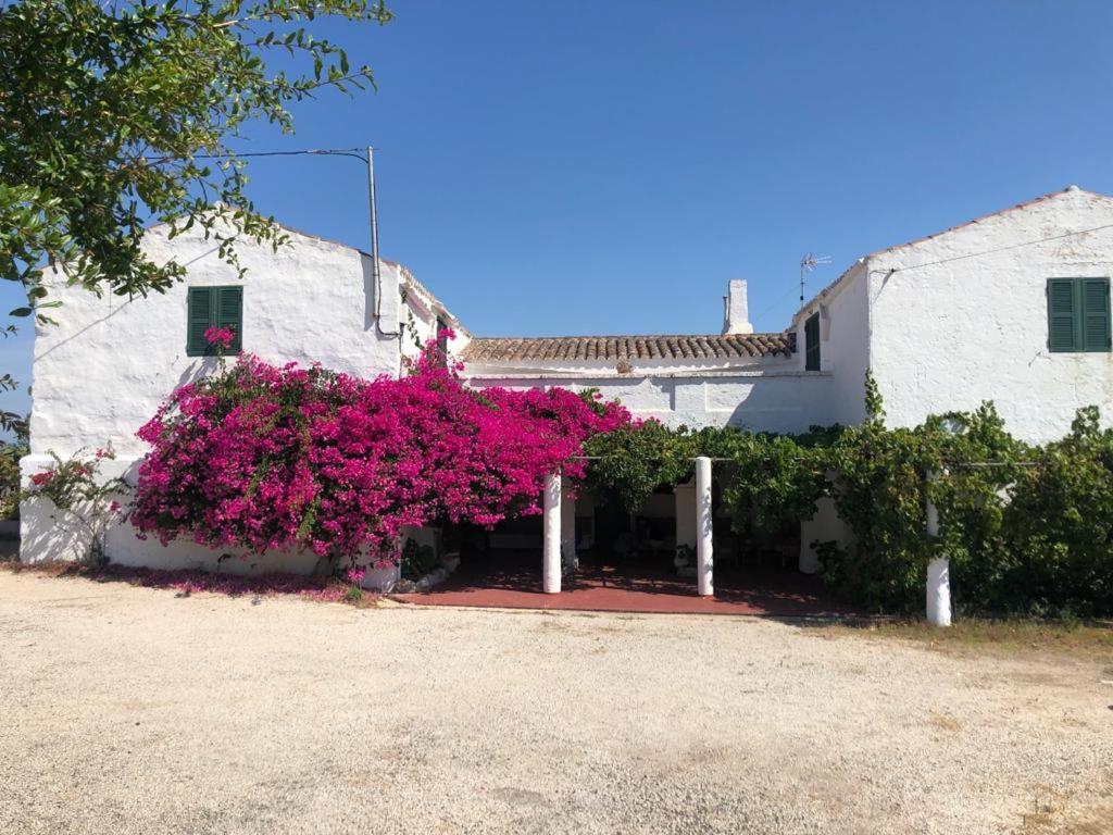 Agroturisme Binisaid Nou Cala Galdana (Menorca) Exterior foto