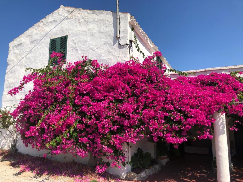 Agroturisme Binisaid Nou Cala Galdana (Menorca) Exterior foto
